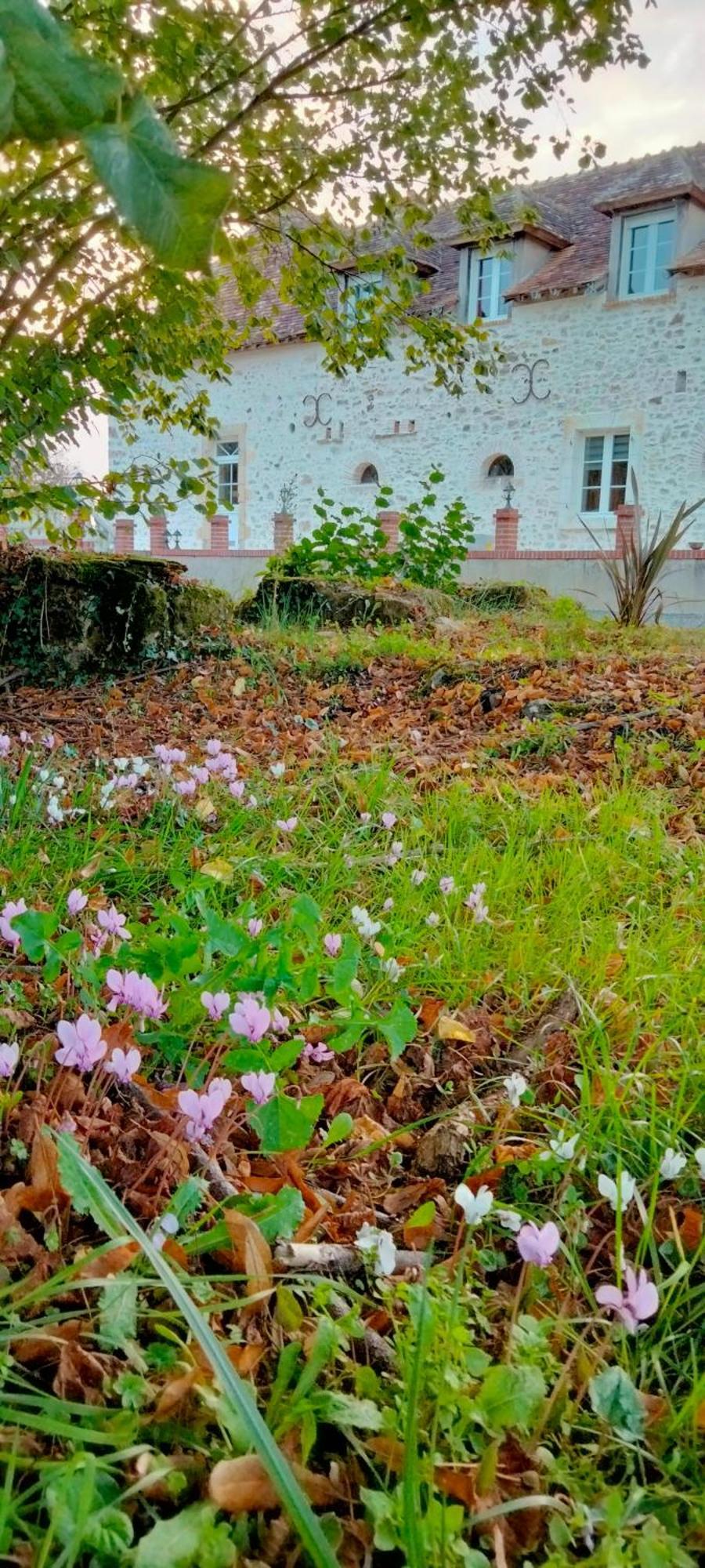 فيلا Gite & Chambre D'Hotes Du Moulin Brûlon المظهر الخارجي الصورة
